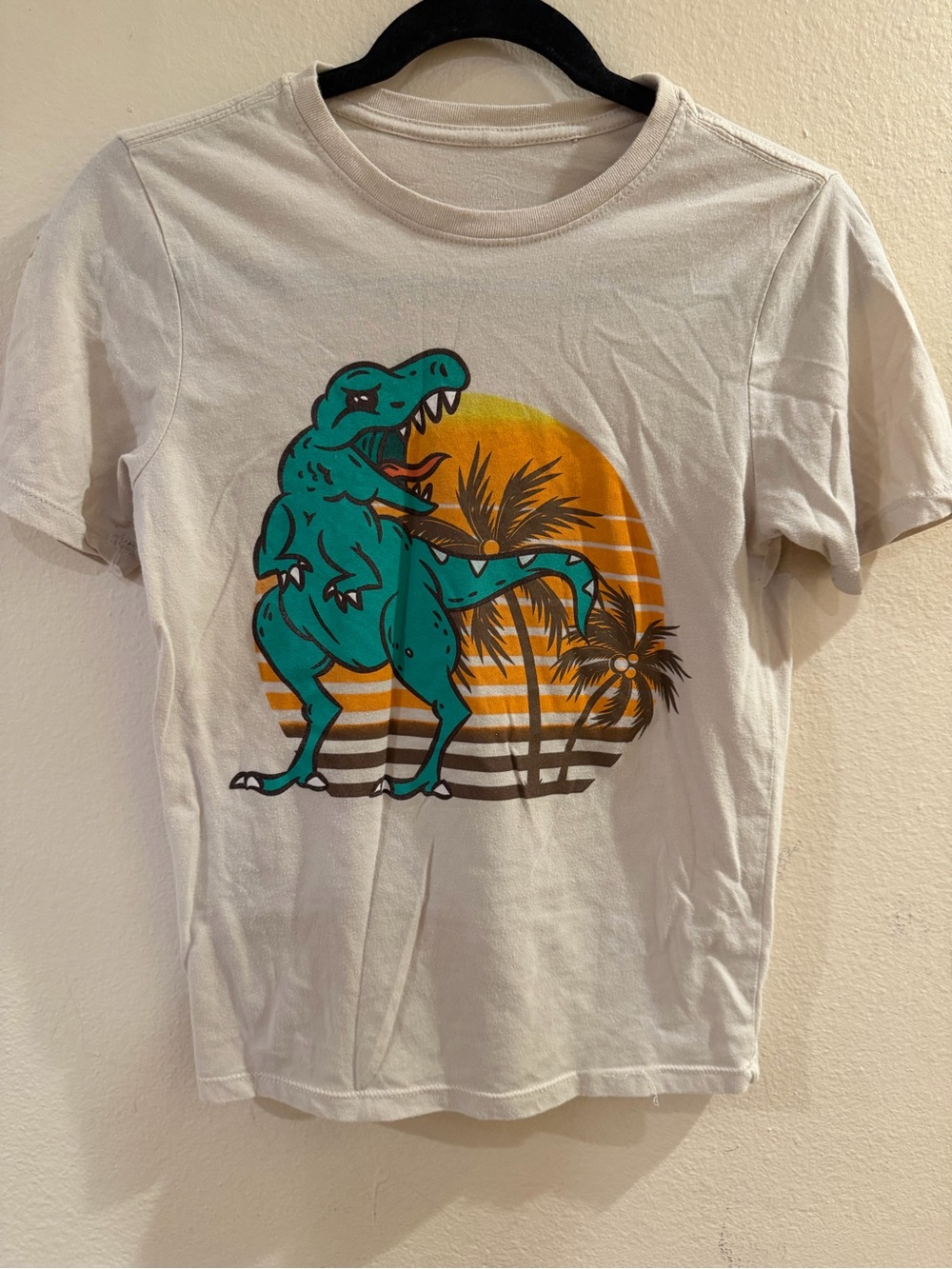 Boys Wonder Nation T-Shirt Size 10/12